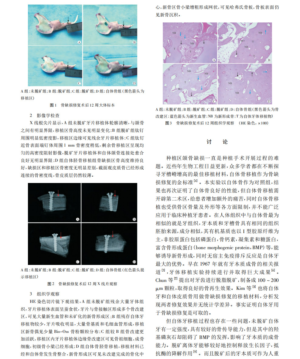 未标题-1_05.jpg